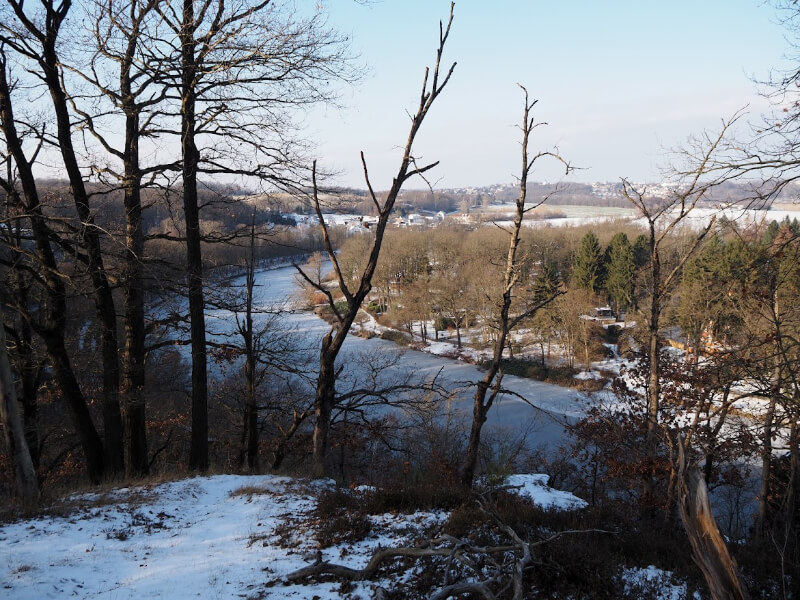 View of the Mulde river in Grimma
