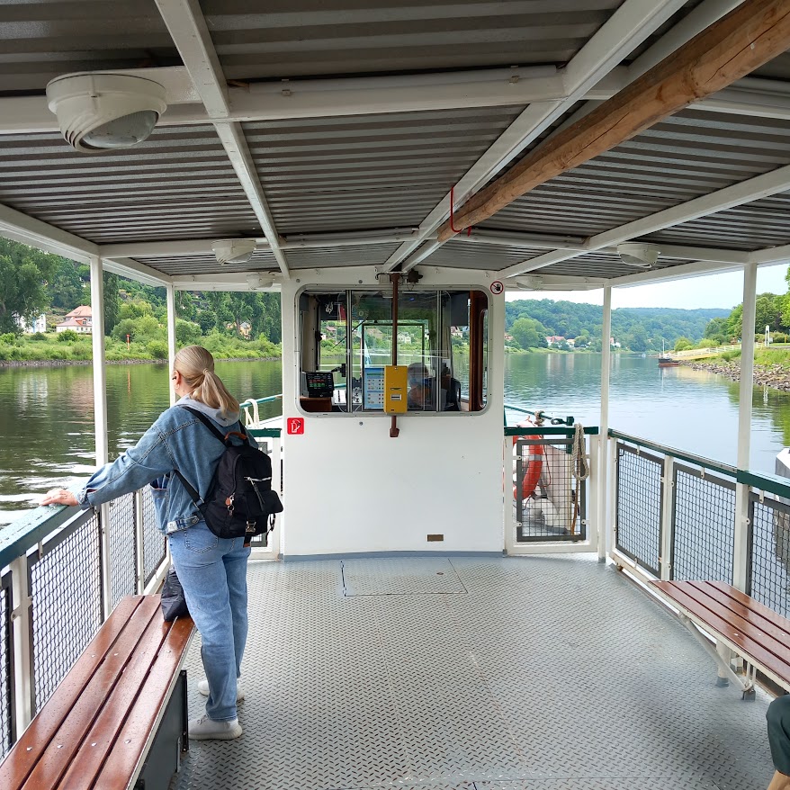 Saxon Wine Trail above the Elbe